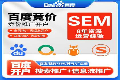 某某SEM团队成功案例：广告投放策略揭秘